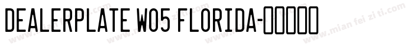 Dealerplate W05 Florida字体转换